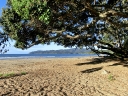 whangarei (29)